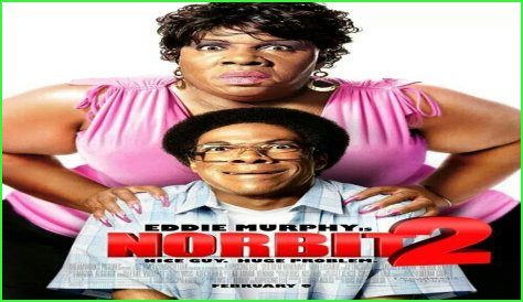 Everything You Need To Know About Molly Norbit