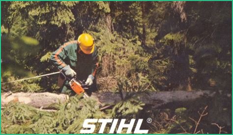 Stihl Simper Death: Rare Saw Incident Sparks Safety Review