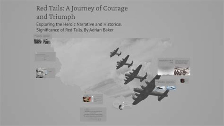 A Journey Of Courage And Triumph