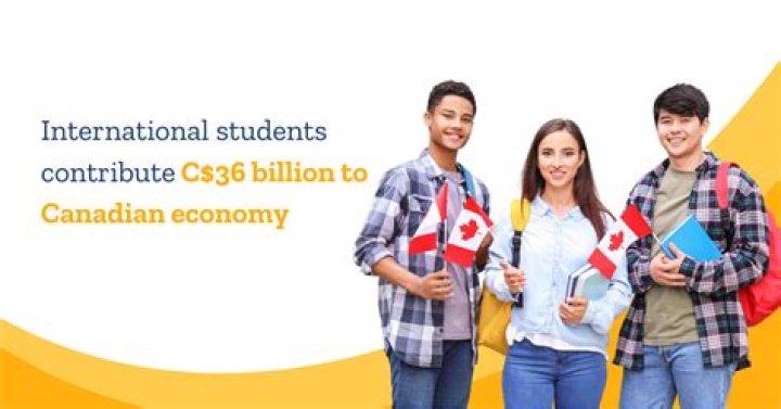 Discover The Enriching World Of Canadian Exchange Students In South Africa On TikTok