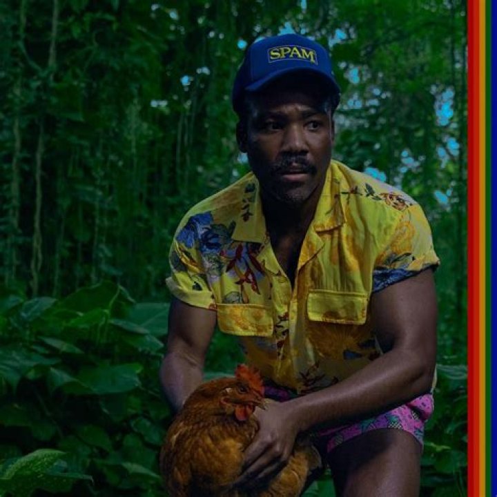 Uncover The Secrets Of Childish Gambino's Partner