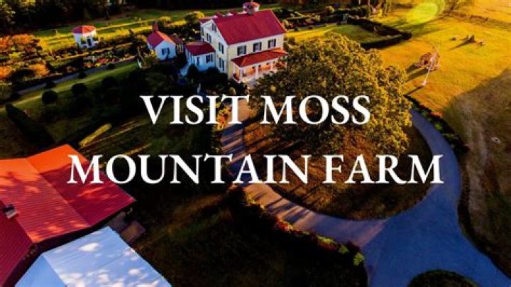 Uncover The Secrets Of Sustainable Agriculture At Moss Mountain Farm