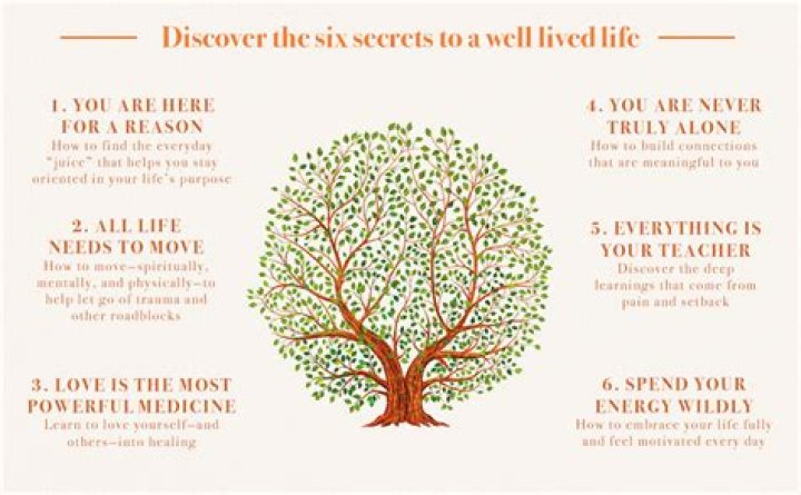 Uncover The Secrets To Health And Well-being With Dr. Brad Schaeffer